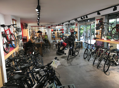 Intérieur magasin de vélos Paris 19